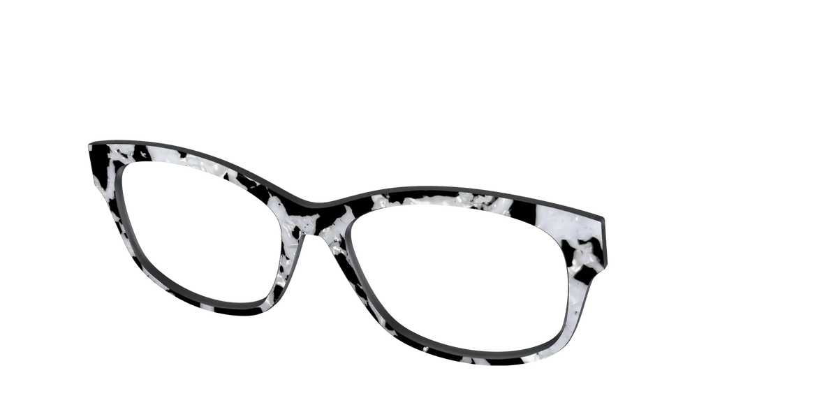 The Black & White Pearl Tortoise