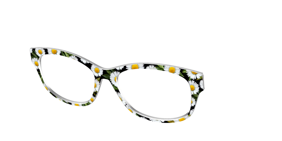 The Delicate Daisies