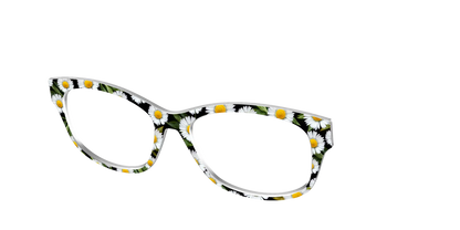 The Delicate Daisies