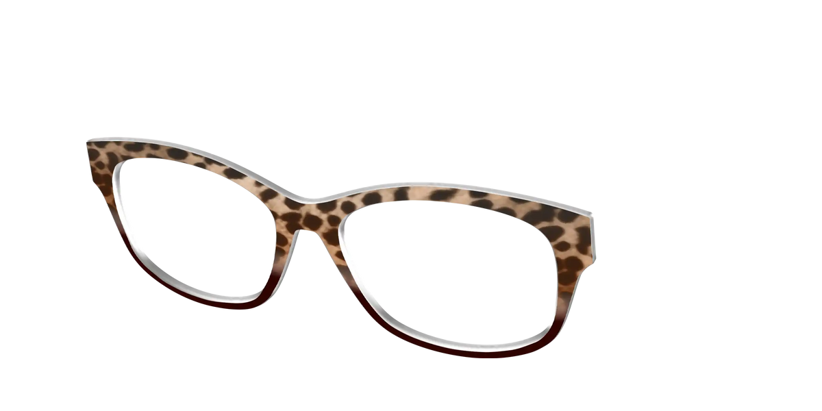 The Jungle Cat Tortoise