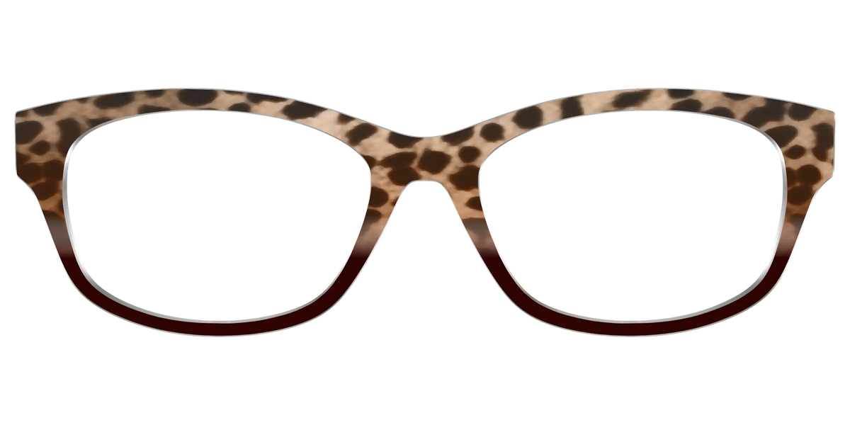 The Jungle Cat Tortoise