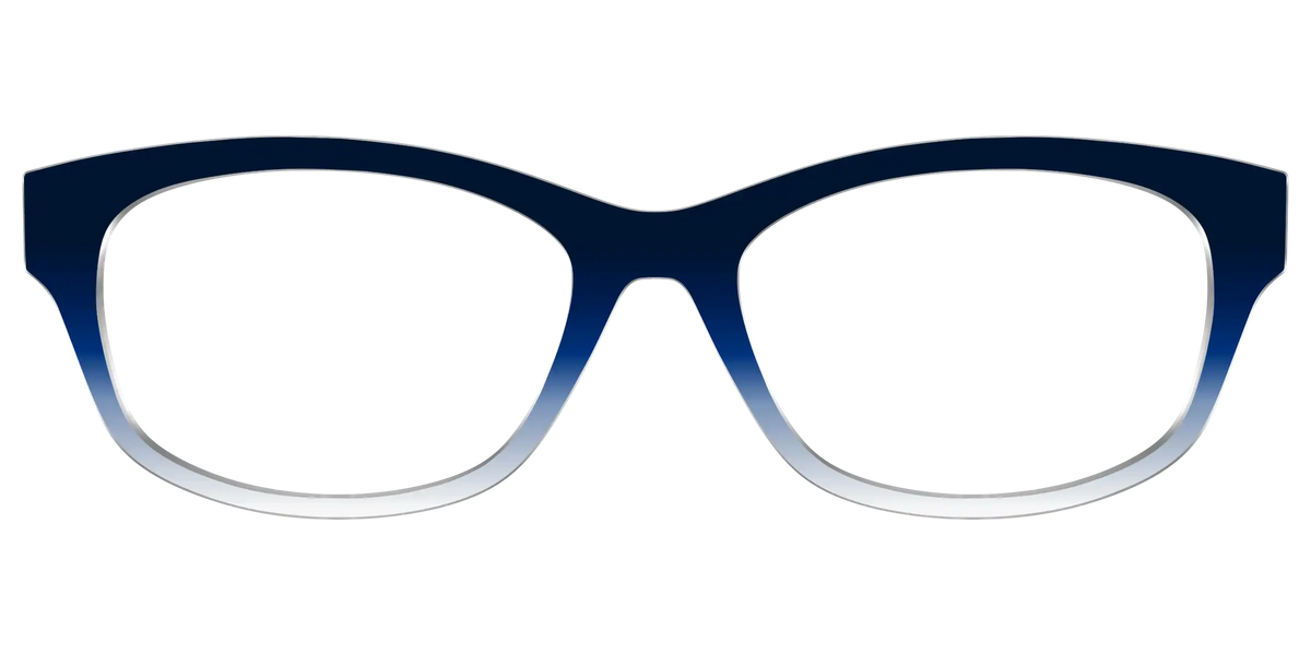 The Navy to White Gradient