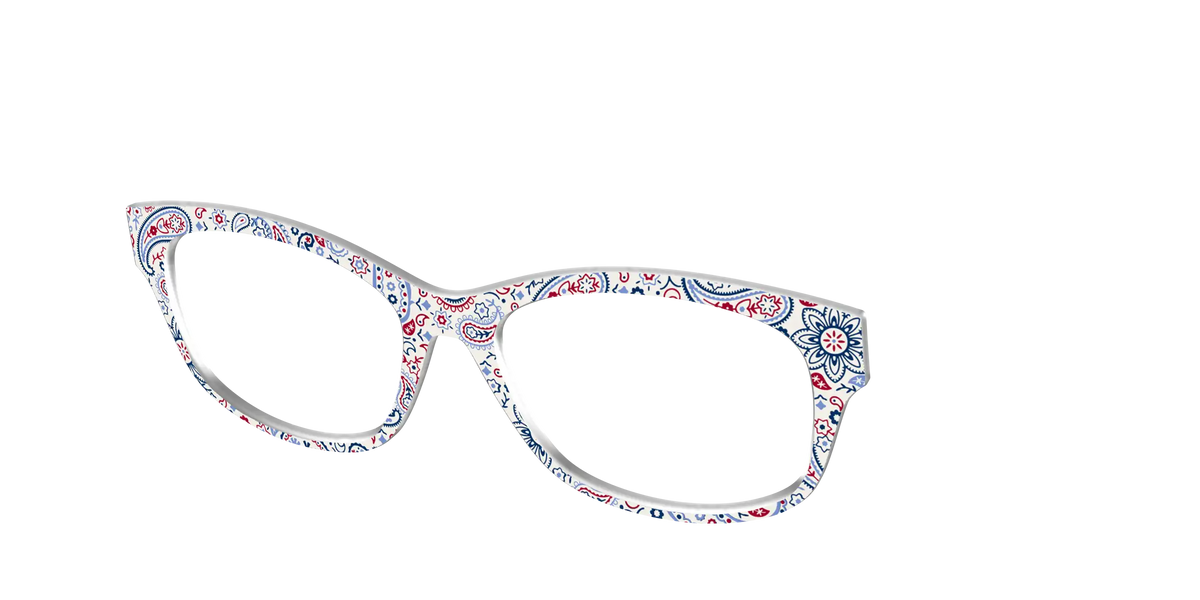 The Picnic Paisley