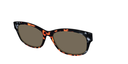 The Polarized Gray & Amber Tortoise Sun Top