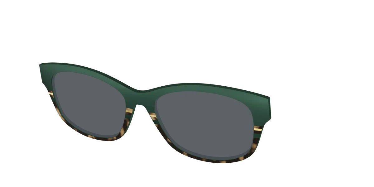 The Polarized Spruce Tortoise Sun Top
