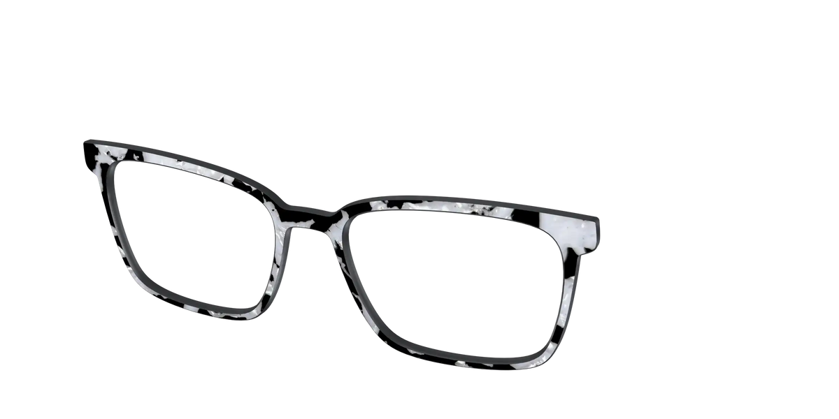 The Black & White Pearl Tortoise