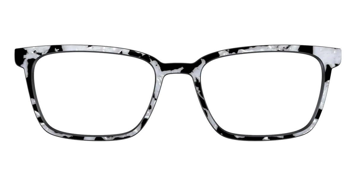 The Black & White Pearl Tortoise