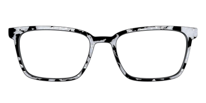 The Black & White Pearl Tortoise
