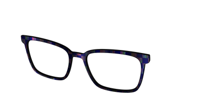 The Black Holographic Check