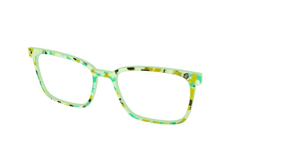 The Matcha Pearl Tortoise