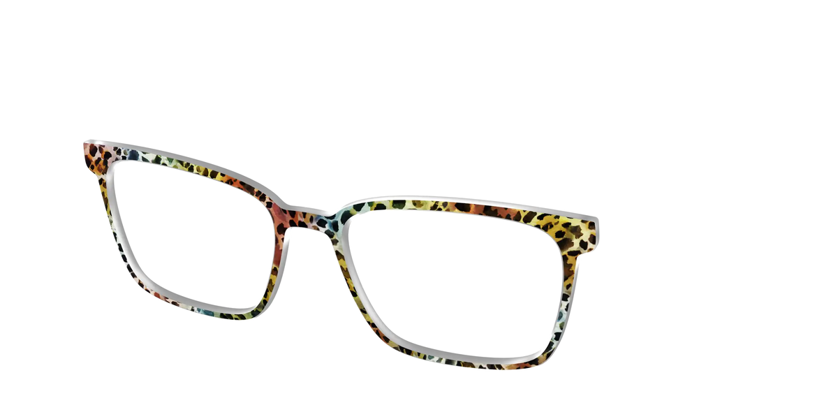 The Mythical Tortoise