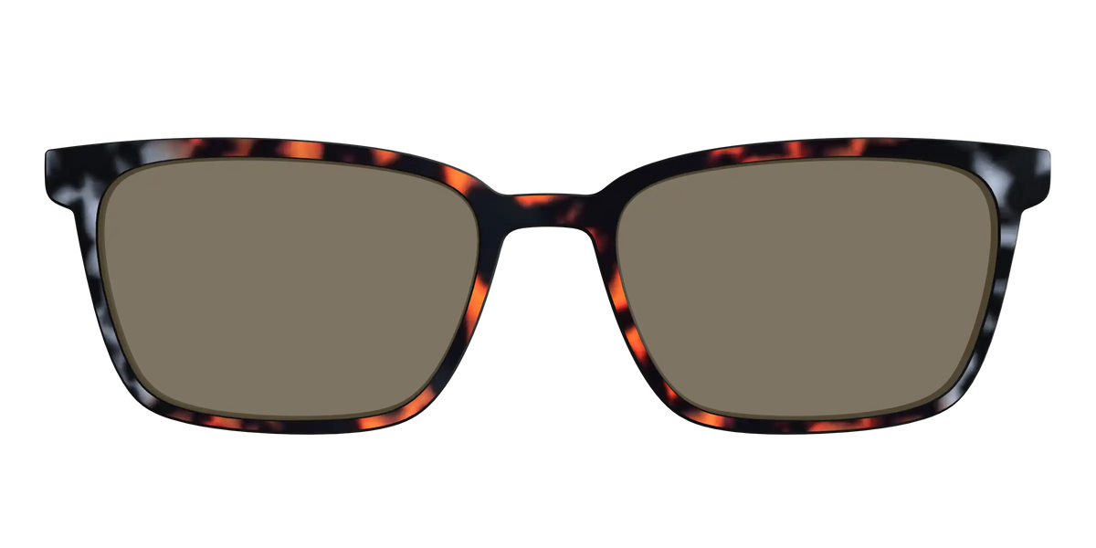 The Polarized Gray & Amber Tortoise Sun Top