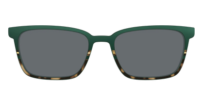 The Polarized Spruce Tortoise Sun Top