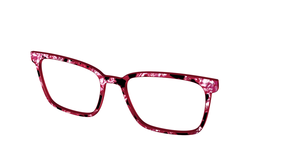 The Raspberry Pearl Tortoise