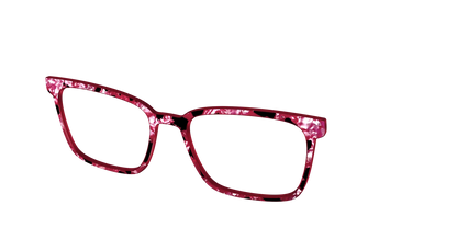 The Raspberry Pearl Tortoise