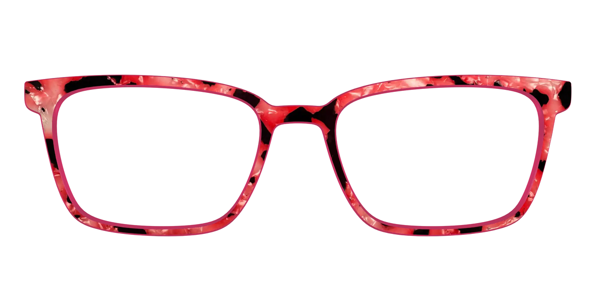 The Red Agate Pearl Tortoise