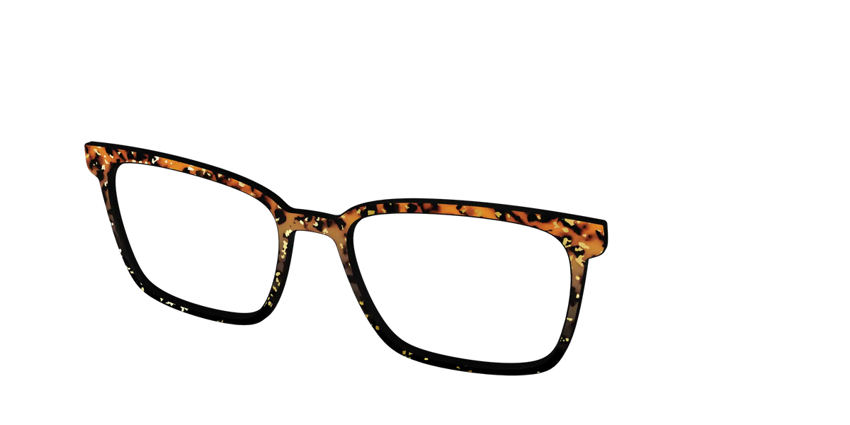 The Rustic Gold Leaf Tortoise