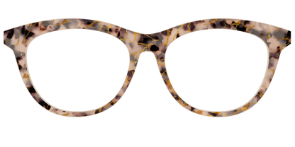 The Almond Tortoise with Gold Streaks