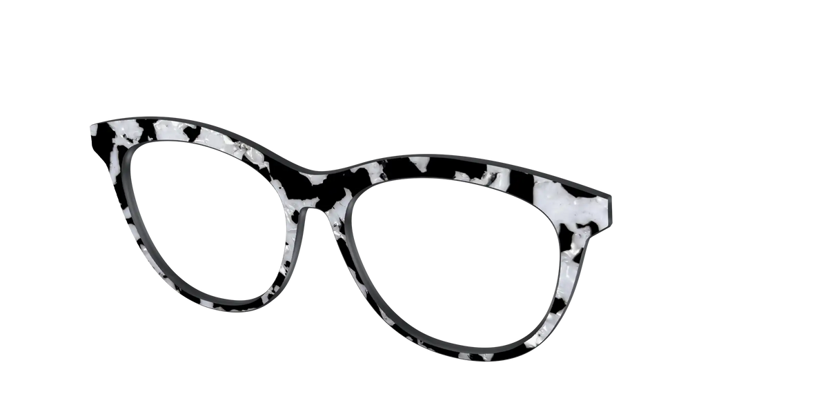 The Black & White Pearl Tortoise