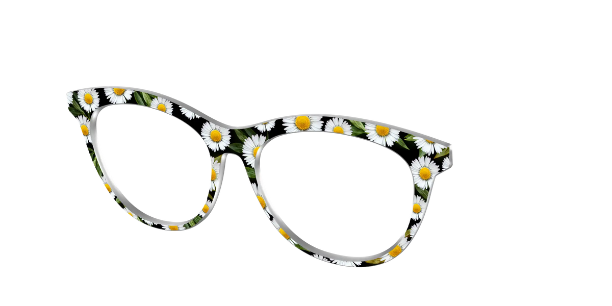 The Delicate Daisies