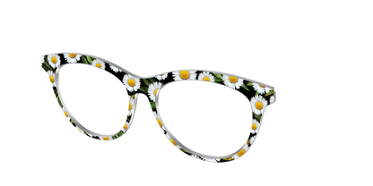 The Delicate Daisies