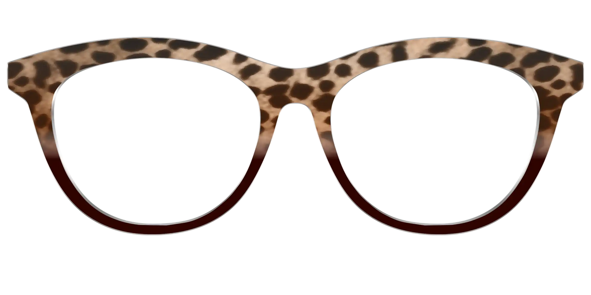 The Jungle Cat Tortoise