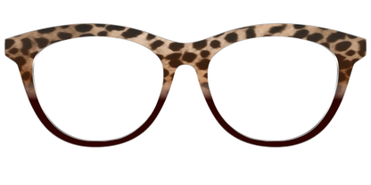 The Jungle Cat Tortoise