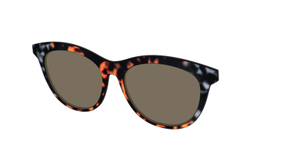 The Polarized Gray & Amber Tortoise Sun Top