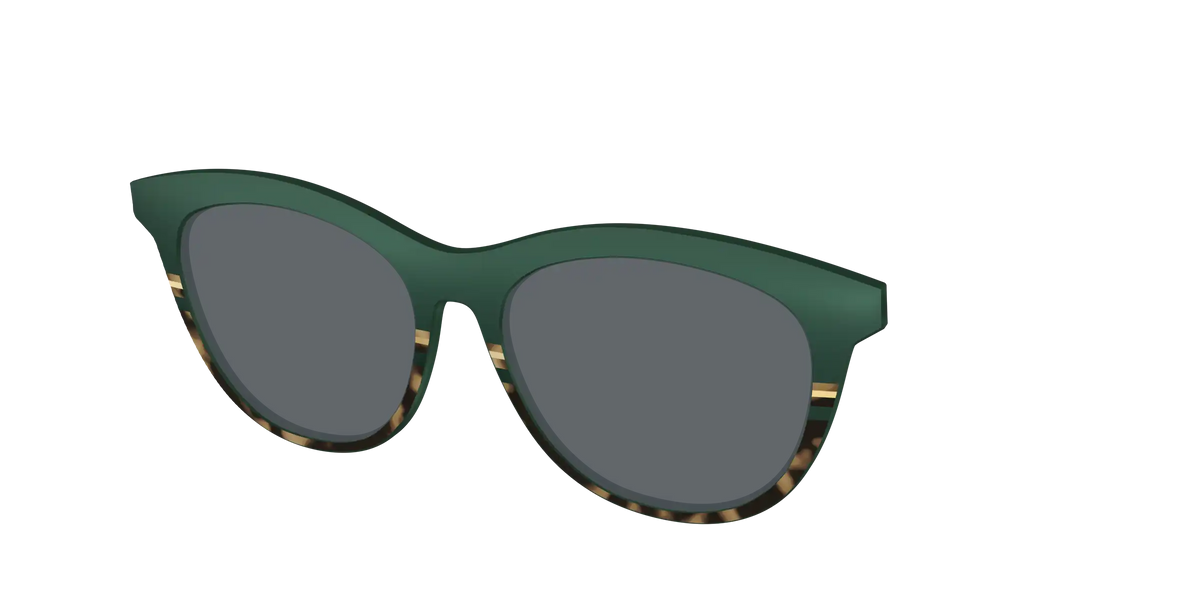 The Polarized Spruce Tortoise Sun Top