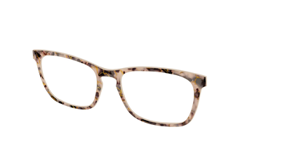 The Almond Tortoise with Gold Streaks