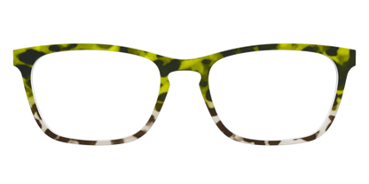 The Avocado to Ivory Tortoise