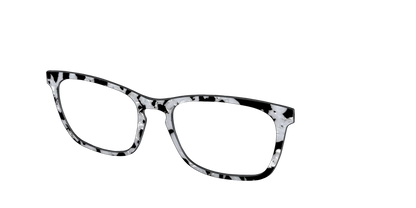 The Black & White Pearl Tortoise