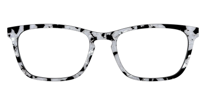 The Black & White Pearl Tortoise