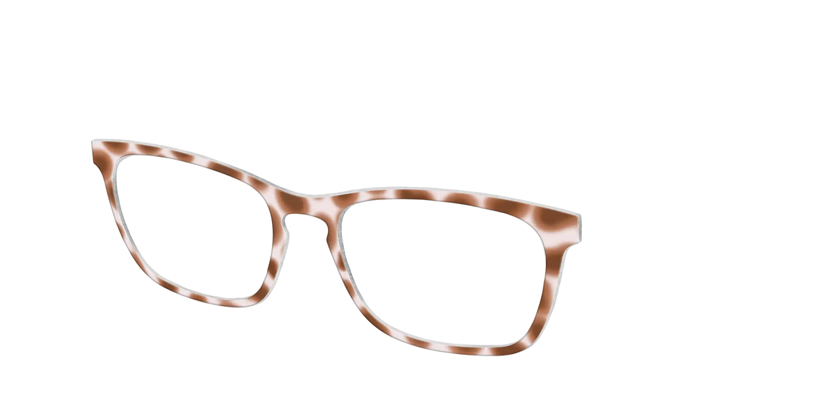 The Caffé Tortoise