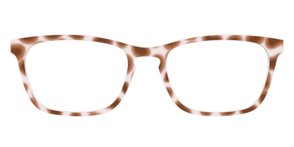 The Caffé Tortoise