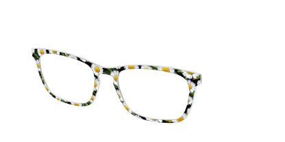 The Delicate Daisies