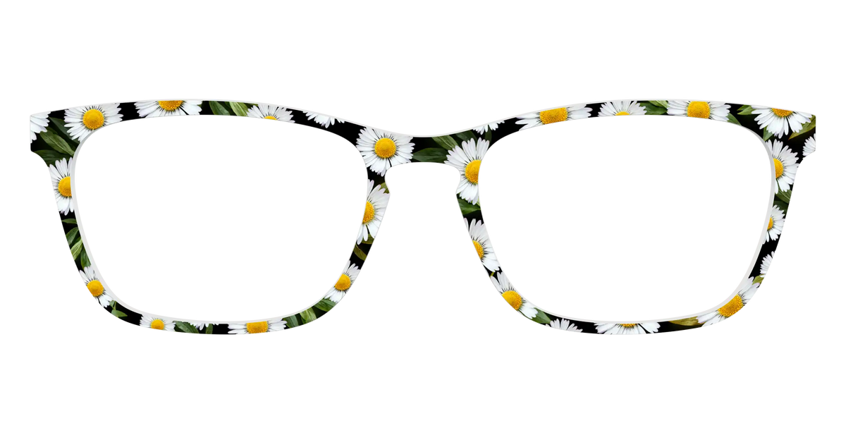 The Delicate Daisies