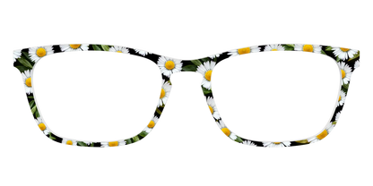 The Delicate Daisies