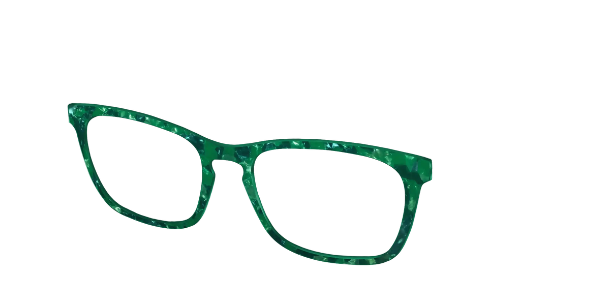 The Emerald Pearl Tortoise