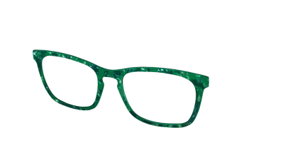 The Emerald Pearl Tortoise