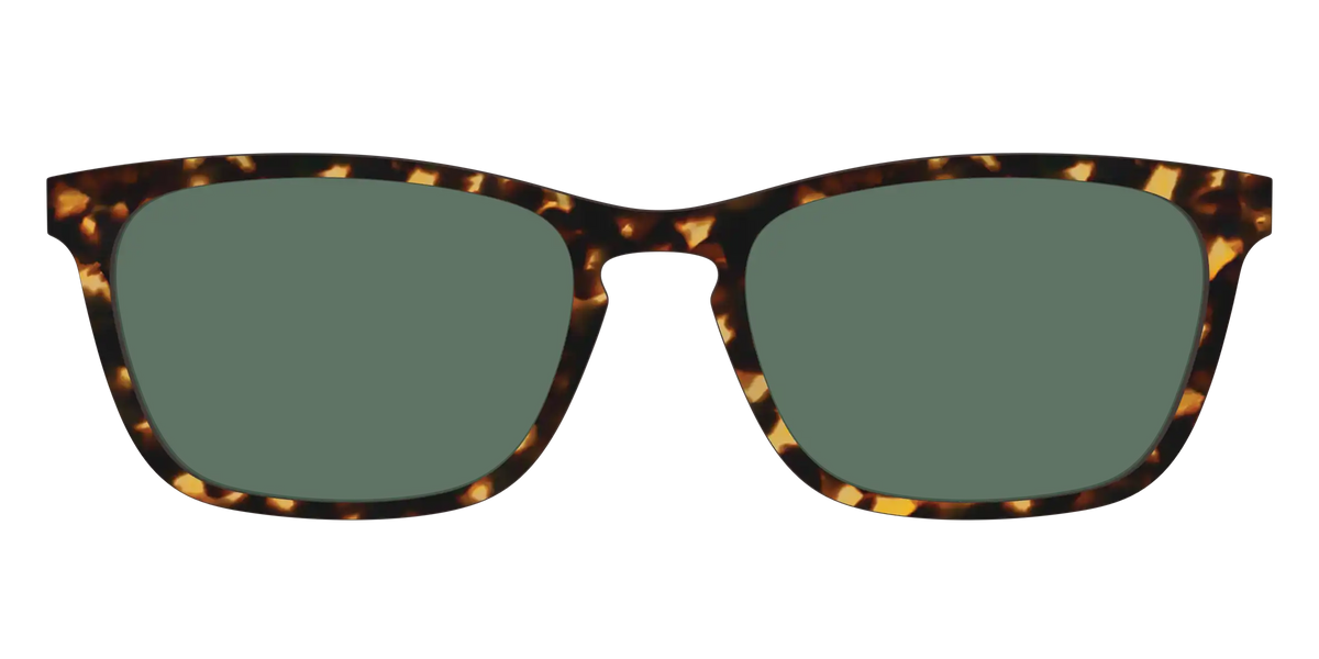 The Non-Polarized Green Tortoise Sun Top