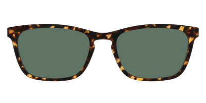 The Non-Polarized Green Tortoise Sun Top