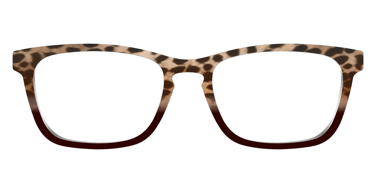 The Jungle Cat Tortoise