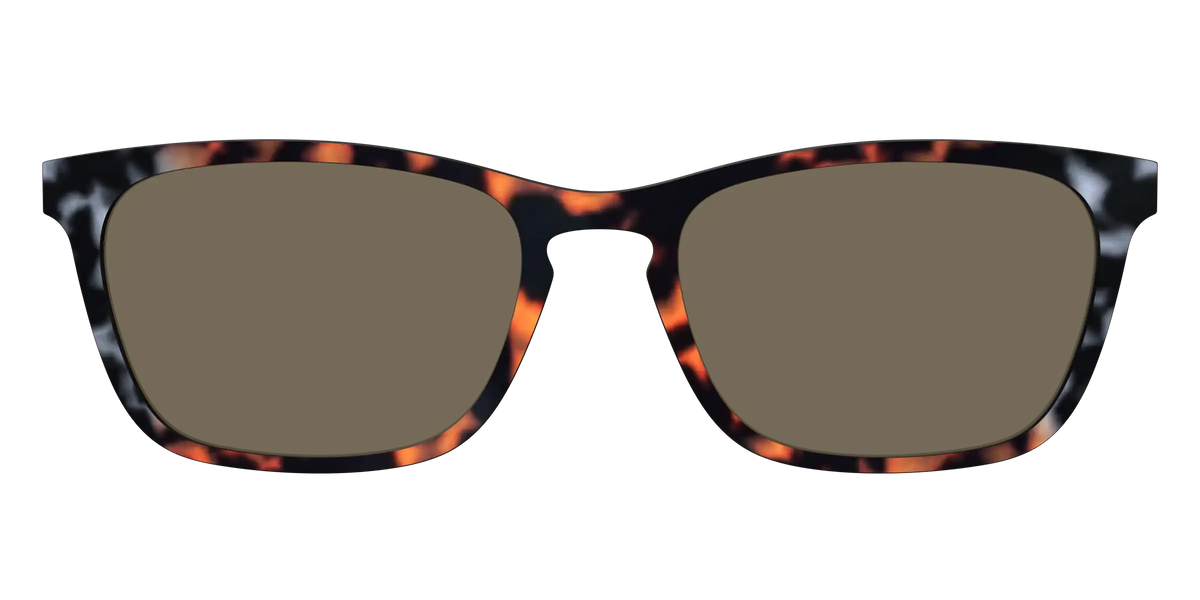 The Polarized Gray & Amber Tortoise Sun Top