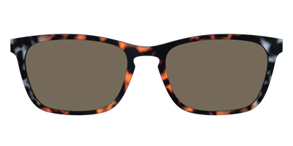 The Polarized Gray & Amber Tortoise Sun Top
