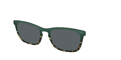 The Polarized Spruce Tortoise Sun Top