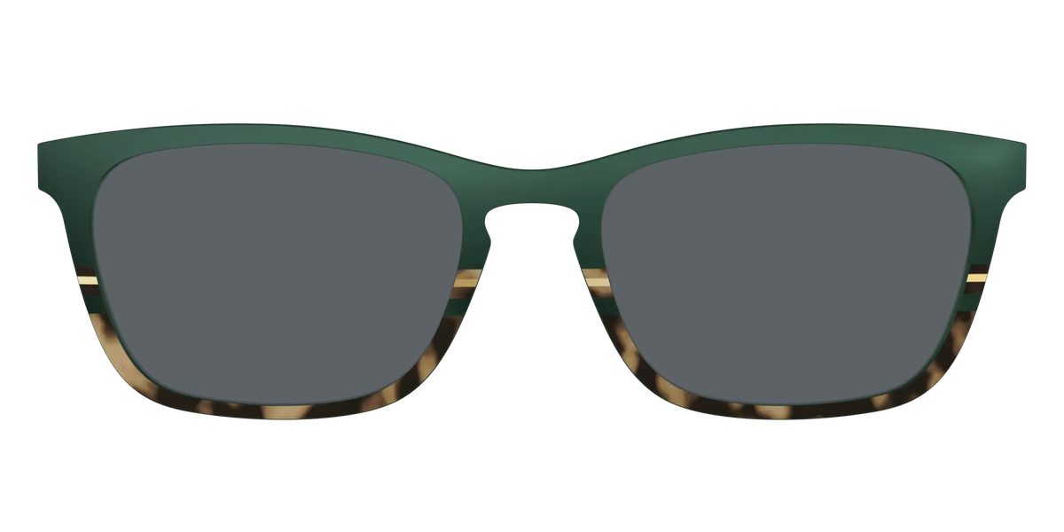 The Polarized Spruce Tortoise Sun Top