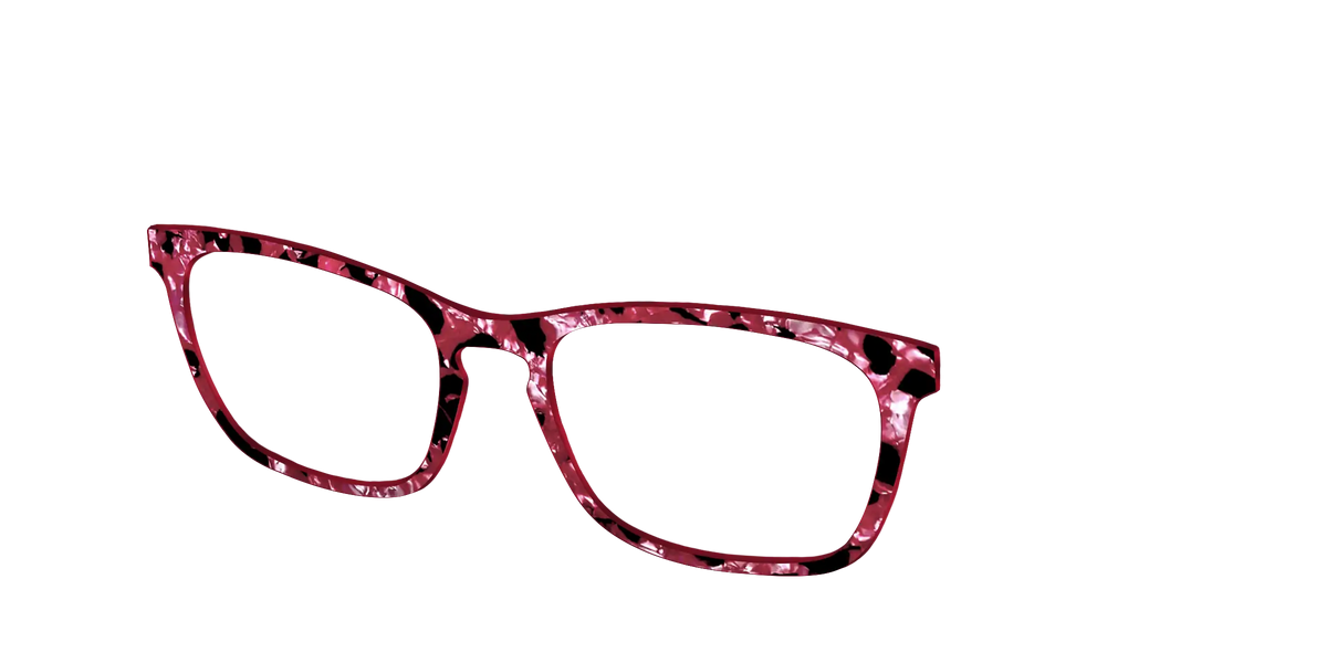 The Raspberry Pearl Tortoise