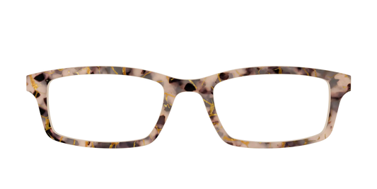 The Almond Tortoise with Gold Streaks