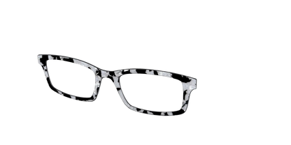 The Black & White Pearl Tortoise
